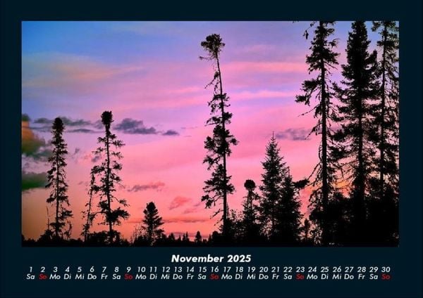 Produktbild: Blick in die Natur 2025 Fotokalender DIN A4