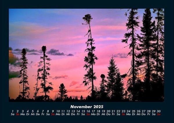 Produktbild: Blick in die Natur 2025 Fotokalender DIN A4