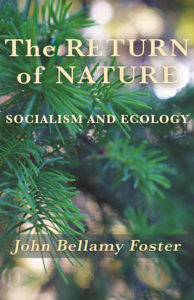 Produktbild: The Return of Nature
