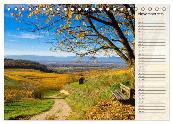 Produktbild: Auf Schusters Rappen... S&uuml;dlicher Oberrhein und S&uuml;dschwarzwald (Tischkalender 2026 DIN A5 quer), CALVENDO Monatskalender