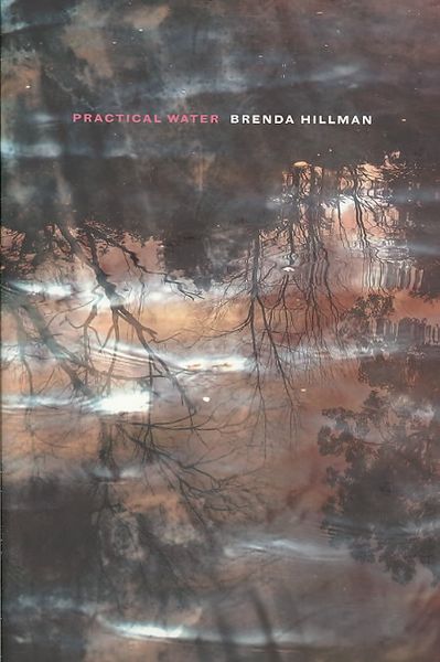 Produktbild: Prac Water 30/e