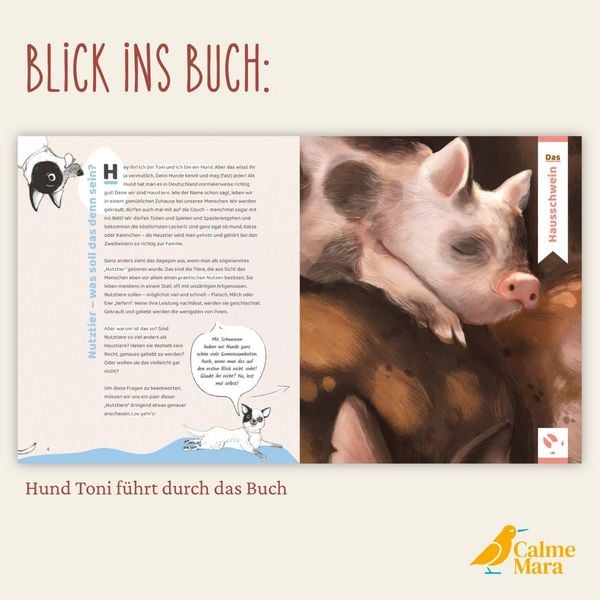 Produktbild: Schlau wie Sau