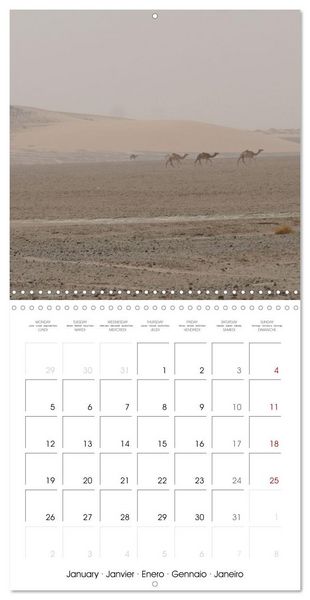 Produktbild: Desert - unknown exciting (Wall Calendar 2026 12 &times; 12 Inch) CALVENDO 12 Month Wall Calendar