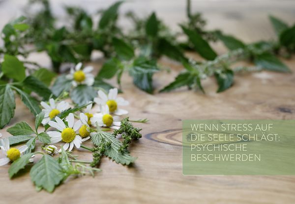 Produktbild: Mit Naturheilkunde Stress bew&auml;ltigen