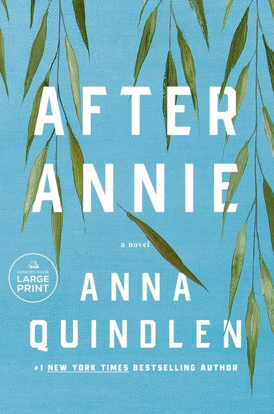 Produktbild: After Annie