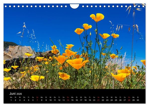 Produktbild: Teneriffa (Wandkalender 2026 DIN A4 quer), CALVENDO Monatskalender