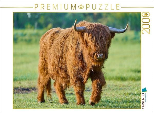 CALVENDO Puzzle In der Ruhe liegt die Kraft | 2000 Teile Lege-Größe 90 × 67 cm Foto-Puzzle für glückliche Stunden