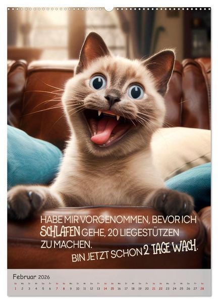 Produktbild: COOLE KATZEN Spr&uuml;cheklopfer (hochwertiger Premium Wandkalender 2026 DIN A2 hoch), Kunstdruck in Hochglanz