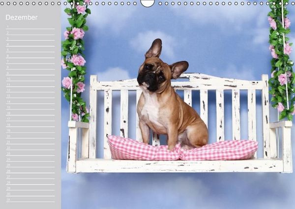 Produktbild: Der Bully-Geburtstagskalender - nie wieder einen Geburtstag "verschlafen"... (Wandkalender immerw&auml;hrend DIN A3 quer)