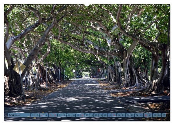 Produktbild: Florida Spots II (Wandkalender 2026 DIN A2 quer), CALVENDO Monatskalender