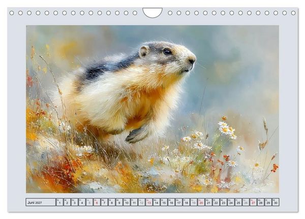 Produktbild: Murmeltiere. Kleine W&auml;chter der Berge (Wandkalender 2027 DIN A4 quer), CALVENDO Monatskalender