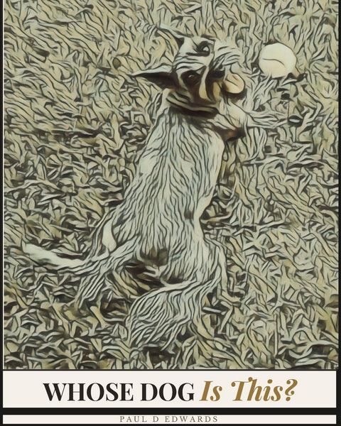 Produktbild: Whose Dog Is This?