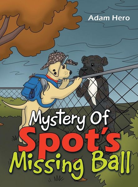 Produktbild: Mystery Of Spot's Missing Ball