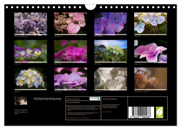 Produktbild: Hortensientr&auml;ume (Wandkalender 2026 DIN A4 quer), CALVENDO Monatskalender