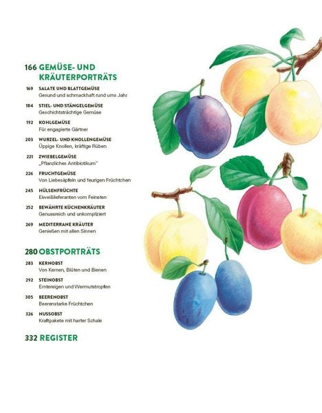 Produktbild: Das gro&szlig;e Gem&uuml;se- und Obstgartenbuch