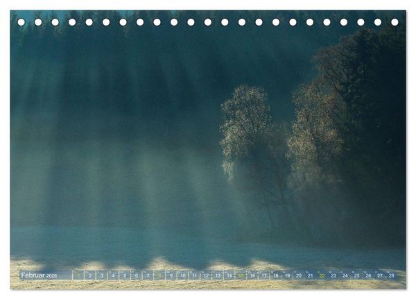 Produktbild: Spaziergang im Wald (Tischkalender 2026 DIN A5 quer), CALVENDO Monatskalender