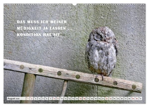 Produktbild: M&uuml;de, faul und arbeitsscheu (Wandkalender 2026 DIN A2 quer), CALVENDO Monatskalender