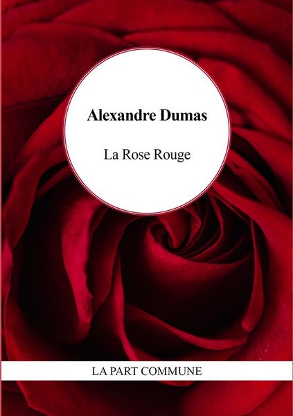 Produktbild: Rose rouge