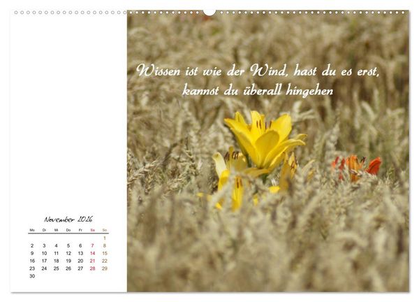 Produktbild: Innehalten in der Natur ... mit Weisheiten und Sprichworten der Indianer (hochwertiger Premium Wandkalender 2026 DIN A2 quer), Kunstdruck in Hochglanz