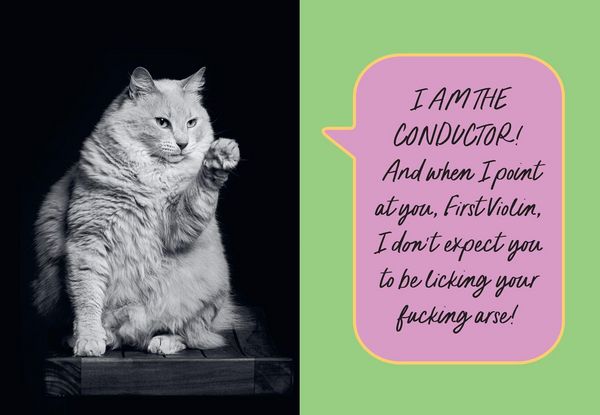 Produktbild: Sweary Cats