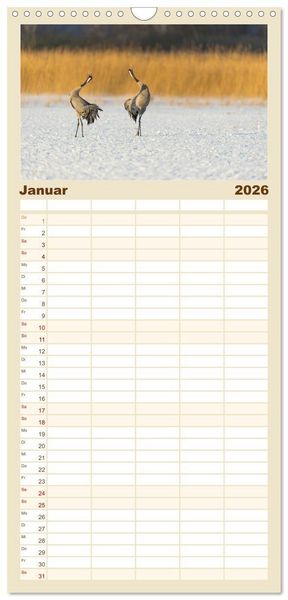 Produktbild: Familienplaner 2026 - Mit Kranichen durch das Jahr mit 5 Spalten (Wandkalender, 21 x 45 cm) CALVENDO