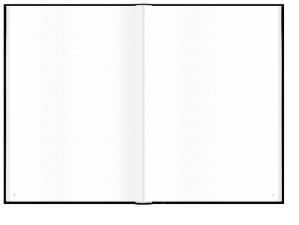 Produktbild: p&y Journal dotted A4+