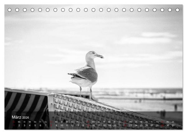 Produktbild: Wangerooge Noir (Tischkalender 2026 DIN A5 quer), CALVENDO Monatskalender