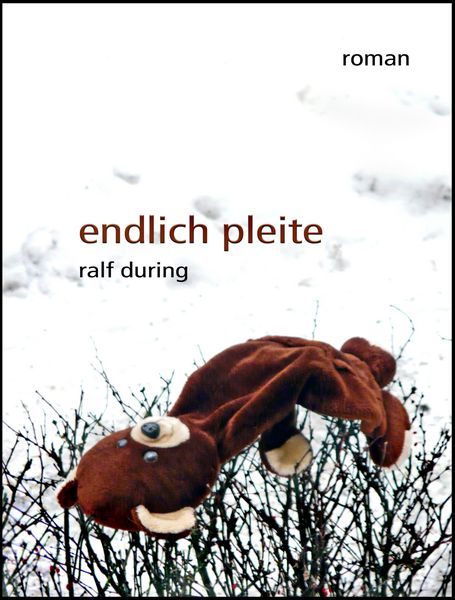 Produktbild: Endlich pleite