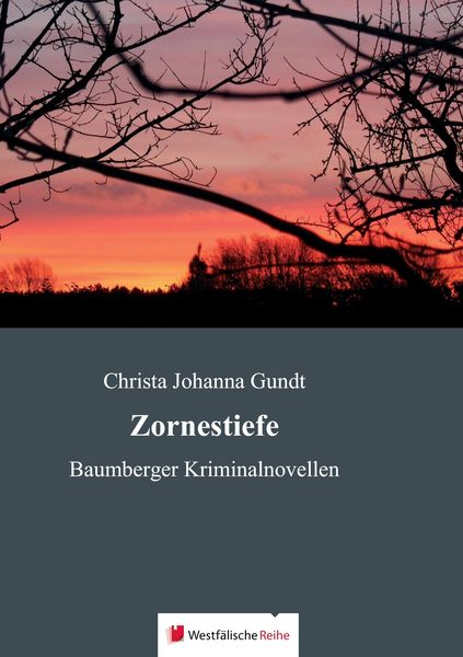 Produktbild: Gundt, C: Zornestiefe