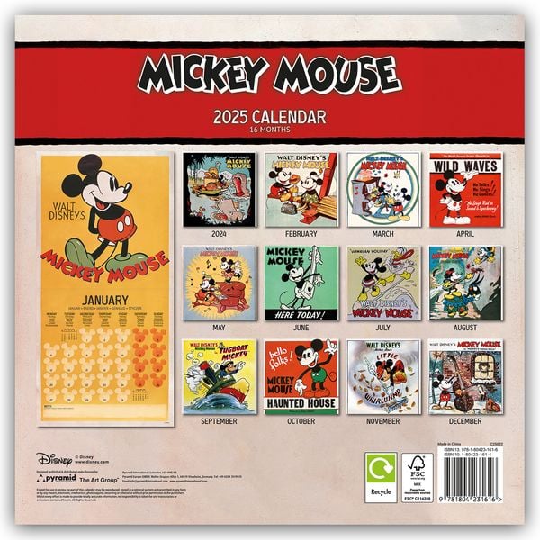 'Mickey & Minnie Mouse 2025 30X30 Broschürenkalender' 'Wandkalender'