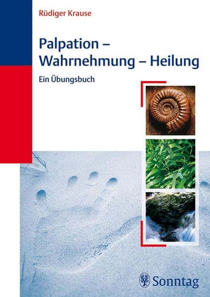 Produktbild: Palpation - Wahrnehmung - Heilung