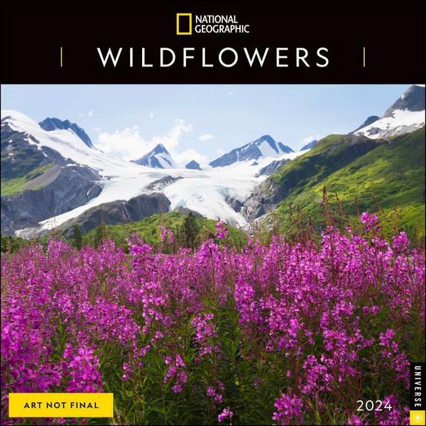 Produktbild: National Geographic: National Geographic: Wildflowers 2024 W