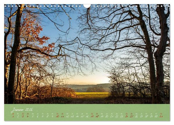 Produktbild: Waldwelten (Wandkalender 2026 DIN A3 quer), CALVENDO Monatskalender