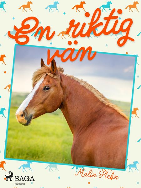 Produktbild: En riktig v&auml;n