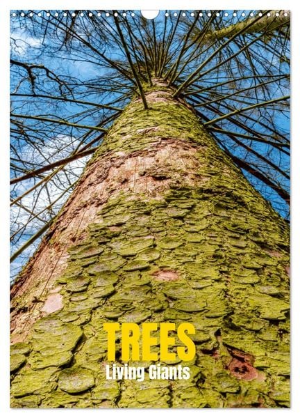 Trees, Living Giants (Wall Calendar 2026 DIN A3 portrait), CALVENDO 12 Month Wall Calendar