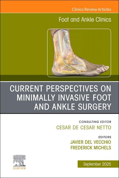 Produktbild: Current Perspectives on Minimally Invasive Foot and Ankle Surgery, an Issue of Foot and Ankle Clinics of North America