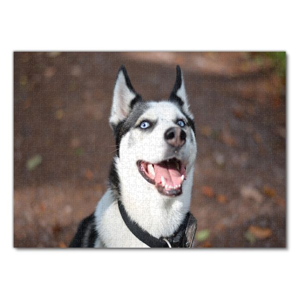 Produktbild: Lais Puzzle Husky 1000 Teile