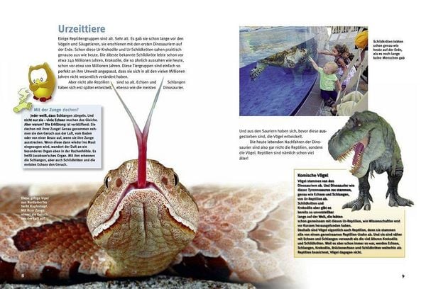 Produktbild: Entdecke die Reptilien