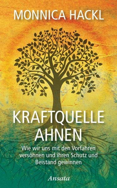 Produktbild: Kraftquelle Ahnen