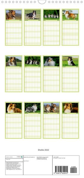 Produktbild: Sheltie 2022 - Familienplaner hoch (Wandkalender 2022 , 21 cm x 45 cm, hoch)