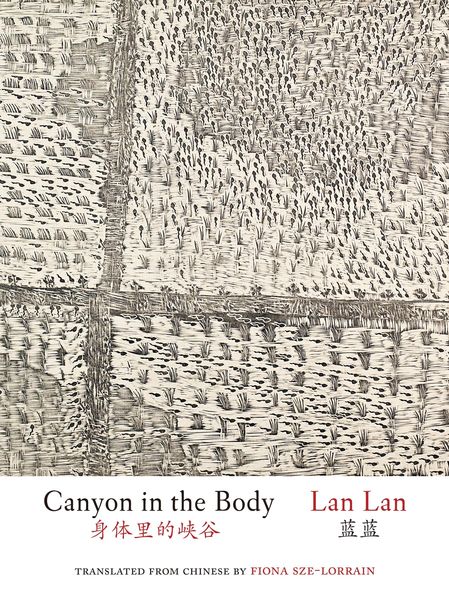 Produktbild: Canyon in the Body (English and Simplified Chinese)