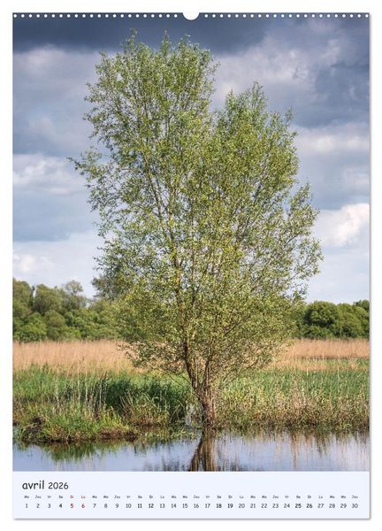 Produktbild: Arbres solitaires (Calendrier mural 2026 DIN A2 horizontal) calendrier de bureau
