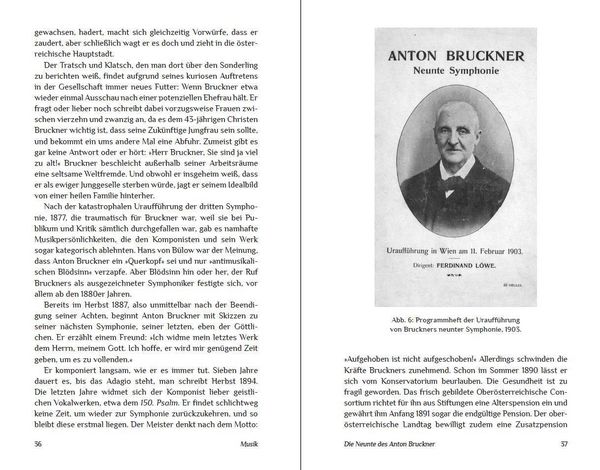 Produktbild: Die Unvollendeten