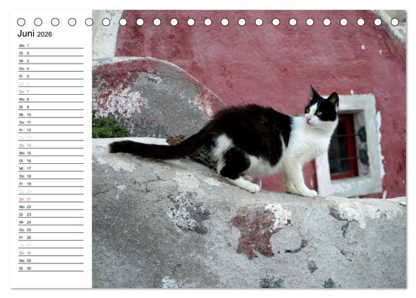 Produktbild: Katzensprung (Tischkalender 2026 DIN A5 quer), CALVENDO Monatskalender
