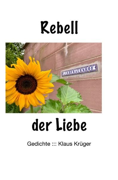 Produktbild: Rebell der Liebe