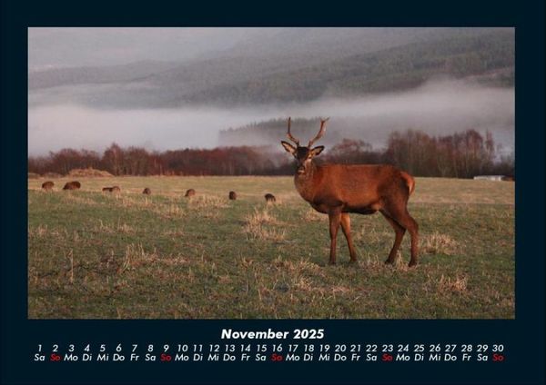 Produktbild: Naturlandschaften 2025 Fotokalender DIN A4