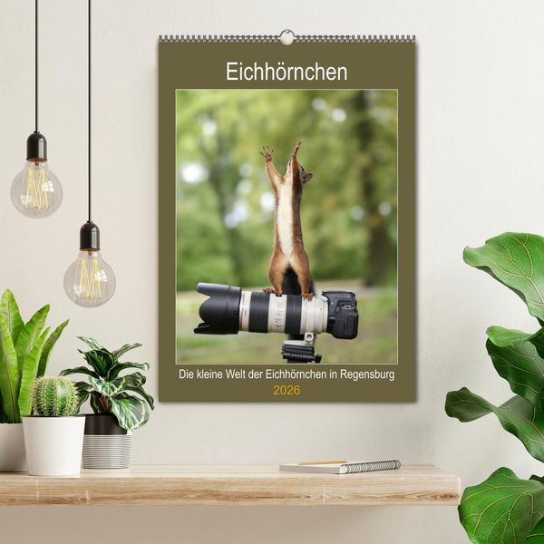 Produktbild: Die kleine Welt der Eichh&ouml;rnchen in Regensburg (Wandkalender 2026 DIN A2 hoch), CALVENDO Monatskalender