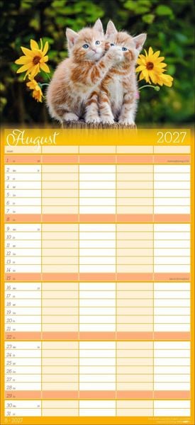 Produktbild: Cool Cats Familienplaner 2027