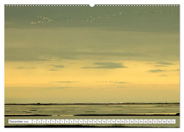 Produktbild: Magie des Nordens, Island und Norwegen (Wandkalender 2026 DIN A2 quer), CALVENDO Monatskalender