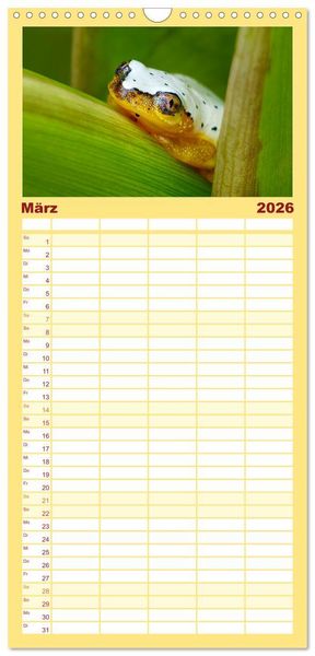 Produktbild: Familienplaner 2026 - Tierisch tolles Madagaskar - Cham&auml;leons, Lemuren und mehr mit 5 Spalten (Wandkalender, 21 x 45 cm) CALVENDO